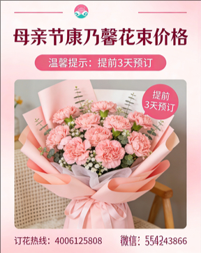 深圳南山区花店母亲节康乃馨花束