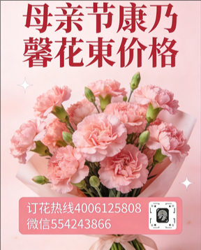 深圳南山区花店母亲节康乃馨花束
